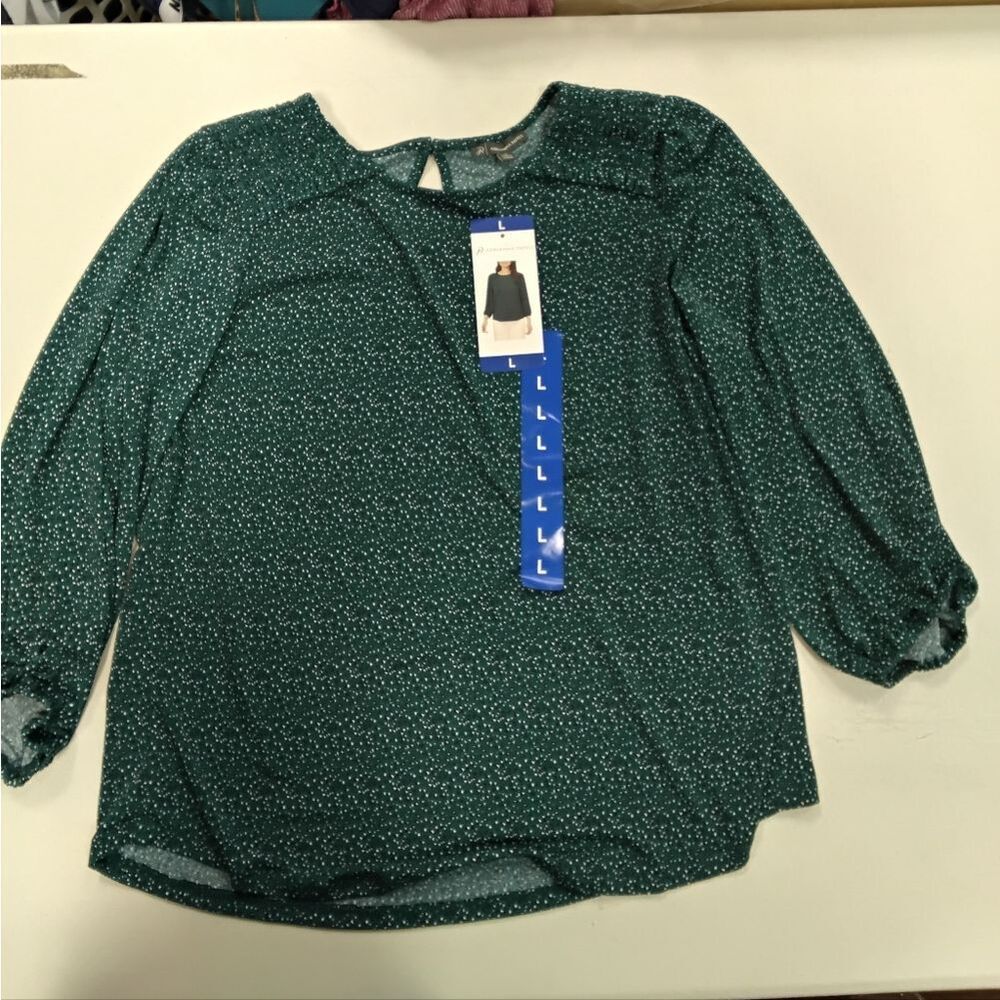 Adrianna Papell Teal Blouse with Dotted Pattern